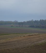 Przemarsz ,,ocalonych" z spalonego Grodziska w Lubomi. 